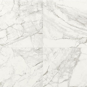 The Luni Blanco is a polished floor tile from TFO. This tile is great for bathrooms, kitchens and any floor tile application in your home or business.